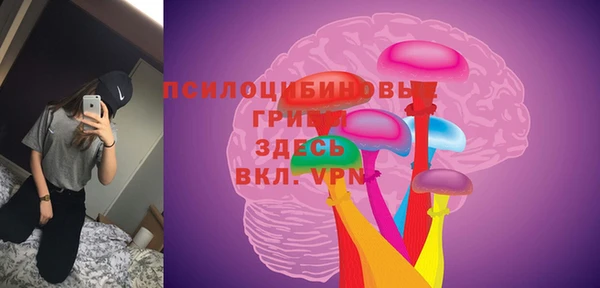 твердый Володарск