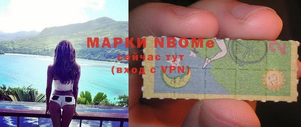 дживик Бородино