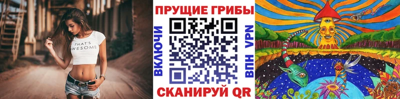 Псилоцибиновые грибы Psilocybine cubensis  Купить где  Острогожск 